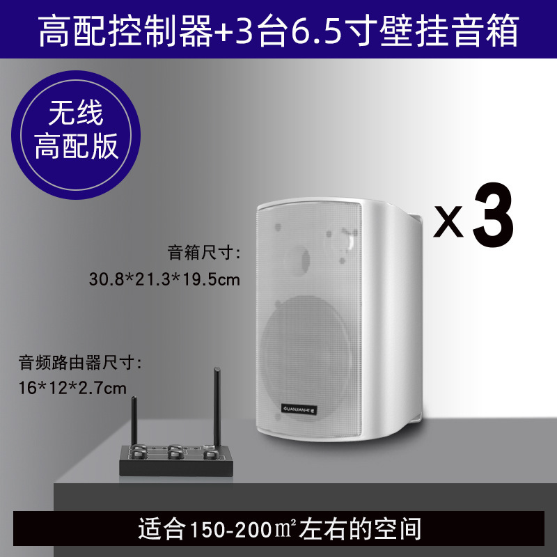 壁挂无线音响店铺舞蹈教室餐厅健身房会议室商用音箱组合套装|undefined