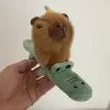 Ride a dolphin