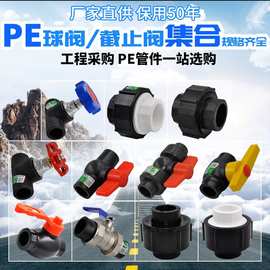 PE双活接全塑钢芯球阀截止阀全塑活接转换接头铜球阀水管管材配件