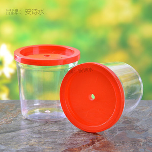 Pet Betta Fish Tank Small Plastic Box Wholesale Plastic Mini Box Mini Fish Tank Lid Cup Box with Lid