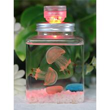 ˮĸ����׼��B���B��ͯ�W������С������������ˮ�������