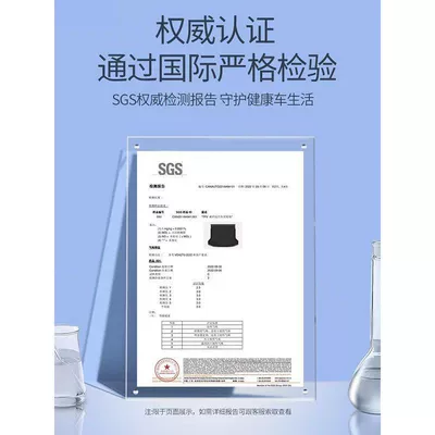 Qichen VX6 special car: Trunk Mat