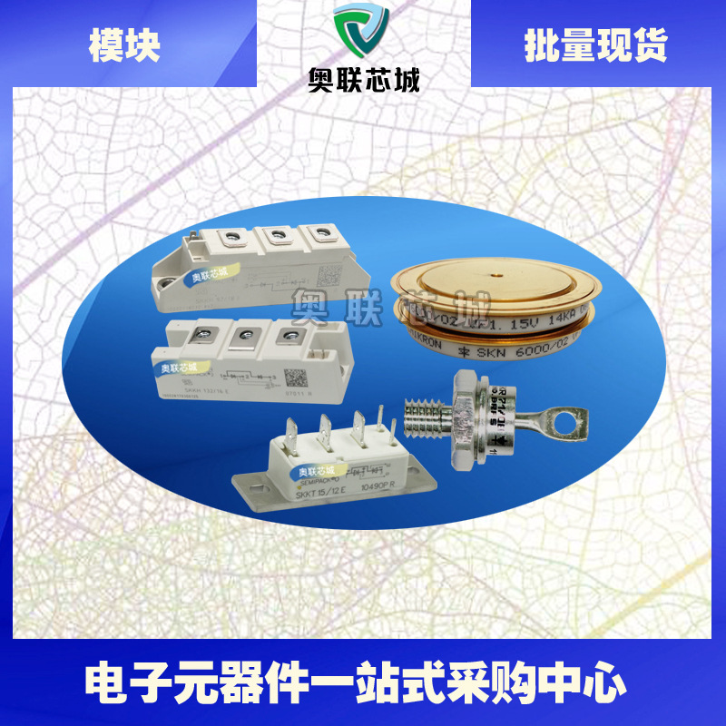SKKH107/12E SKKH107/16E全新可控硅模块现货