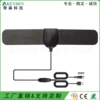 Long oval model + amplifier