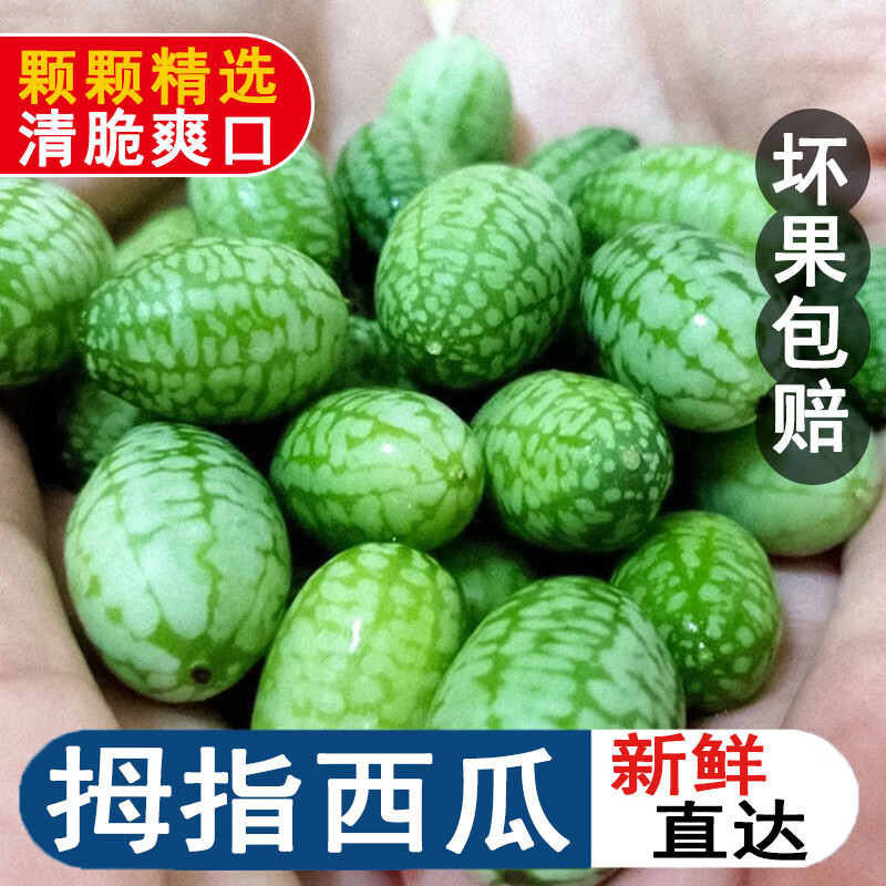 特色水果拇指西瓜新鲜果250g迷你网红母子小瓜佩普基诺稀奇生鲜