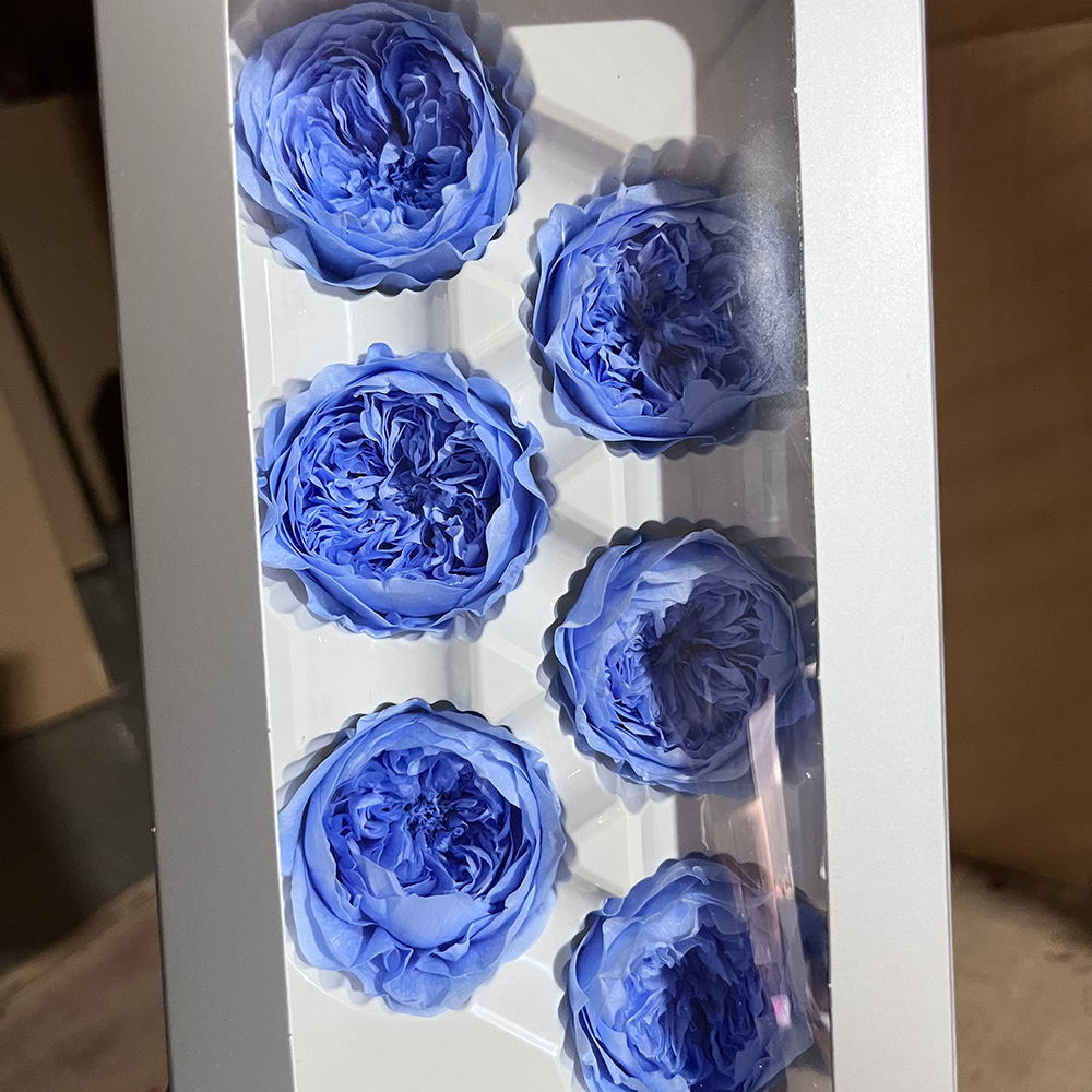 Grado A 5 - 6cm azul marino 6 flores / caja