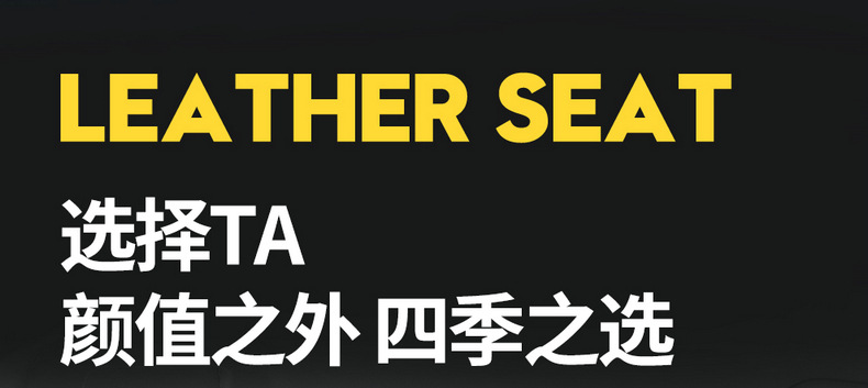 Seat Cover for Great Wall Shanhai Cannon, Full Set Leather