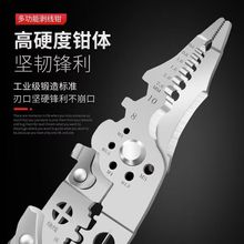 ๦2024¿늹ÄQӷ־ƤMf@