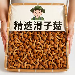 ��؛���ӹ���Ģ�����|�����r������Ҝ���偼��þ�����؛�������l
