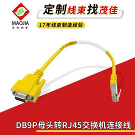 工厂批发DB9P母头转RJ45交换机路由器数据线RS232网线转串口连接