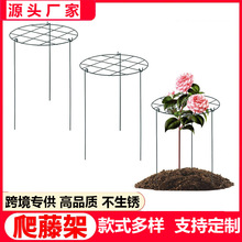 �羳 ���@ֲ�������� �Gֲ�W��֧��ĵ��֧�μܻ�����F�@ˇ�̶��U