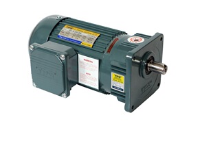 TPG����늙C CH-18-200-20S 3-PHASE GEAR MOTOR 0.2KW����