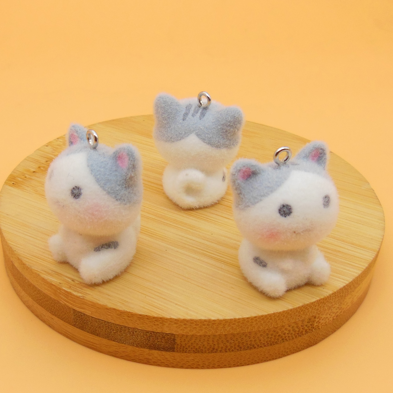 아메리칸 숏헤어 고양이