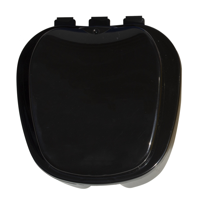 Caja de dientes Caja de dientes de manzana Caja de dentaduras de plástico Caja de dentaduras molares Caja de retención Caja de PP Caja de dentaduras postizas