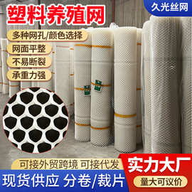 塑料网格防护网塑料平网隔离围栏网养殖网育雏鸡鸭鹅垫底漏粪网