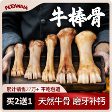 ţ���ǹ���ҧ���^��С��Ȯ��Ȯ�ڳ��a�}Ӗ��������ʳ����ĥ����