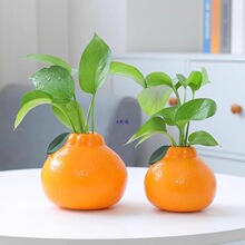 �������ӻ�ƿ�Bˮ�G�jˮ�໨��Ҿ����[�b[�����ֵ��@�L