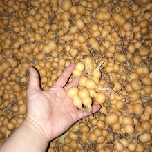 ���J��ȻС���J�]��覴��������Π��������]�п��Ԕ[��Ұ�������F