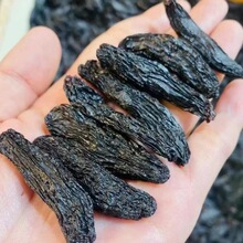 蓝宝石葡萄金手指美人指葡萄新鲜水果无籽葡萄黑提子批发商用包邮
