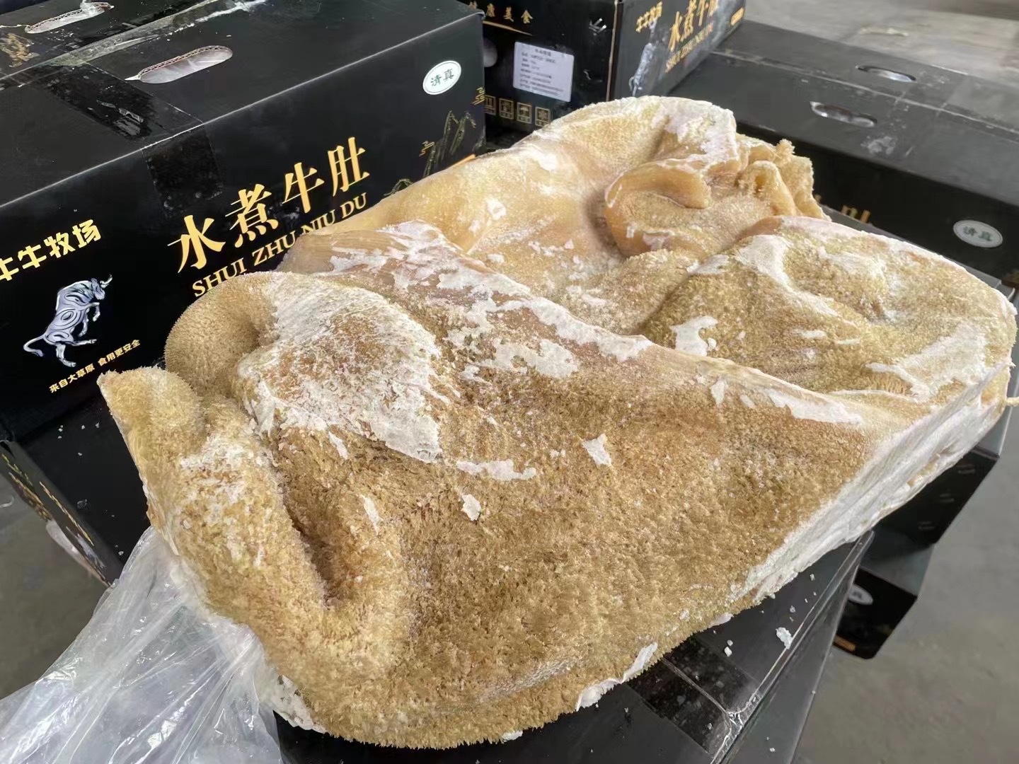 批发全熟牛肚新鲜冷冻白煮牛肚原装半成品熟牛肚商用冻牛大肚15KG