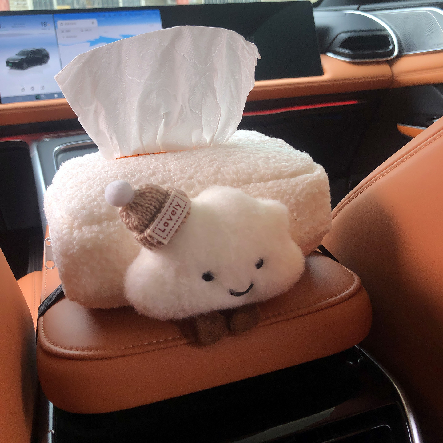 New Car Tissue Box, Car Armrest Box Tissue Bag, Seat-Mounted Car Tissue Bag, Large Capacity, Cute Cloud Design
