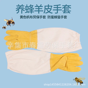 �S�����l �Ӻ���Ƥ���۷��U�����ڱ����� ���U�������� �S�����l
