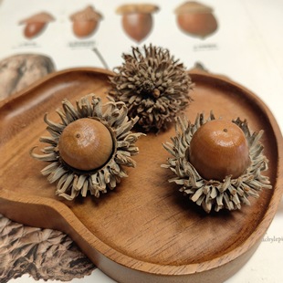 ˨Ƥ��ֲ��˱�������������N�� ��Ȼ��ñ�������b[���ɻ�