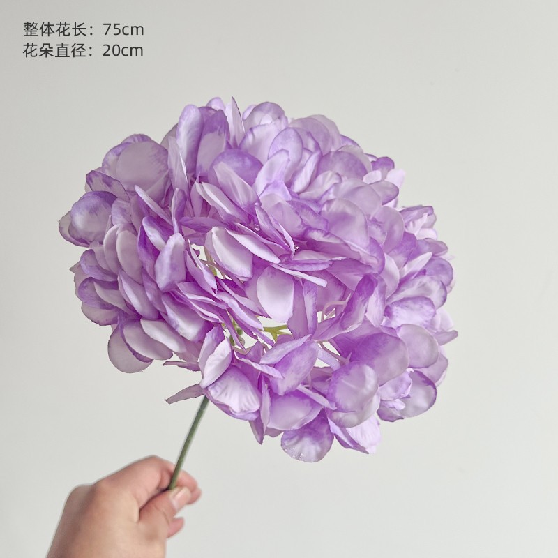 浅紫色面包绣球.jpg