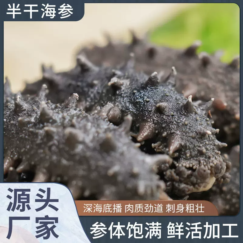 可代发小火半干海参水产海货25头深海底播大连一斤礼盒装高品质