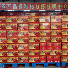 陕北狗头枣清涧佳县大红枣一级特级多级枣子现包源头工厂厂家直销