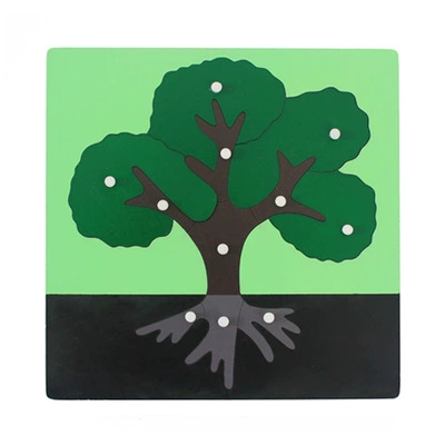 Brainteaser Montessori, teaching aids, professional smart toy