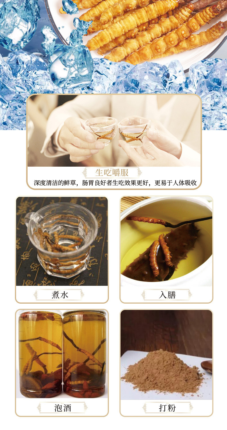 新鲜虫草_13.jpg