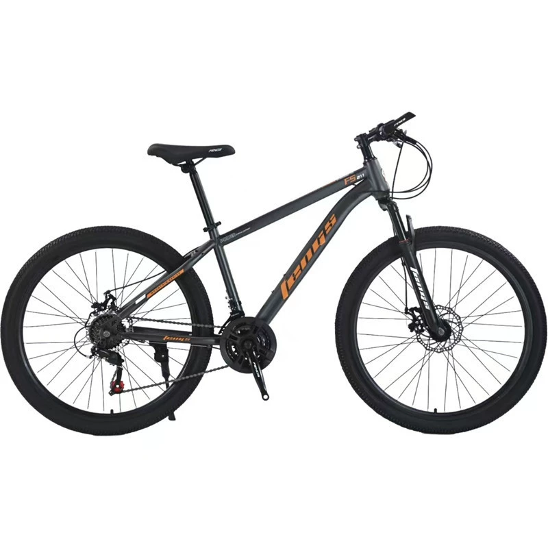 Mountain quality Phoenix, bike, bearing