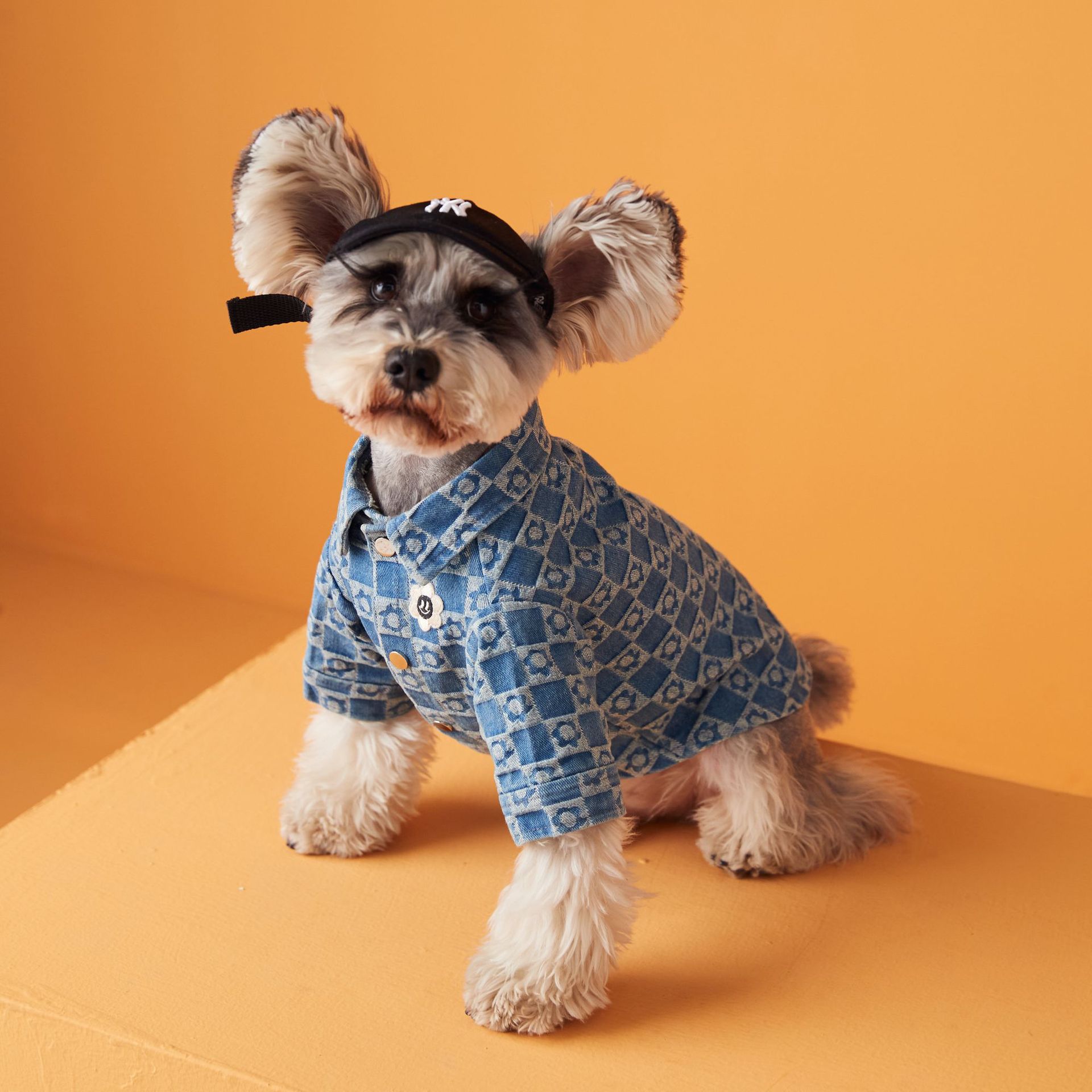 Plush Floral Shirt Teddy Schnauzer Pet Cat Base Image 2