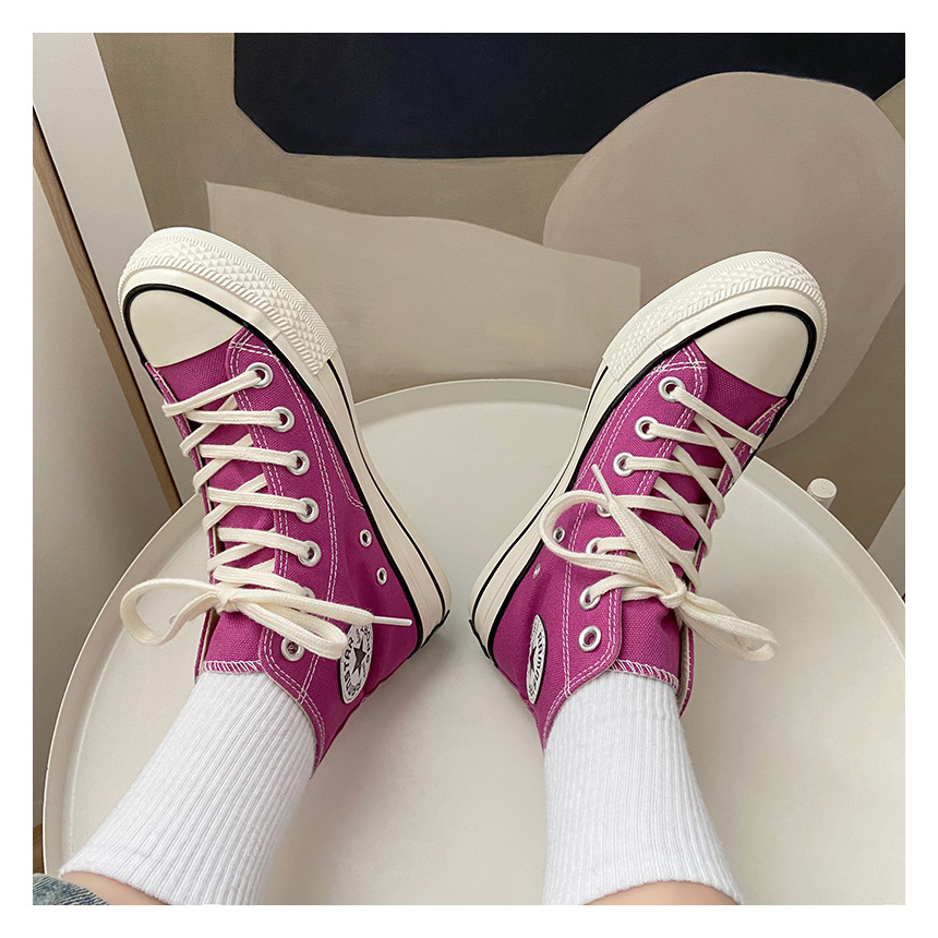 火龙果色 (1).jpg