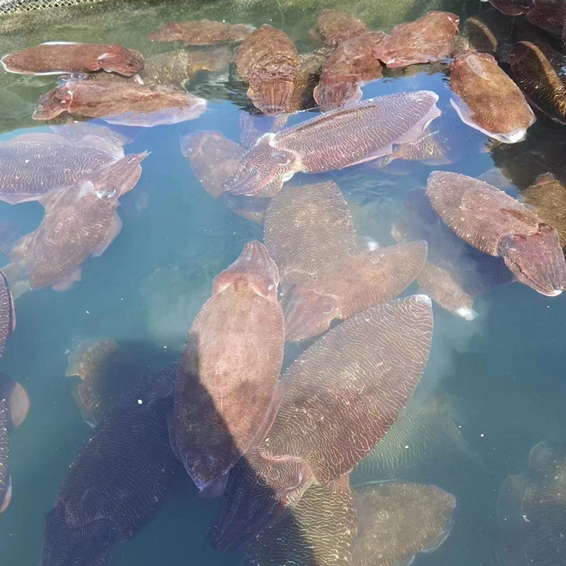 微信图片_20230306113508