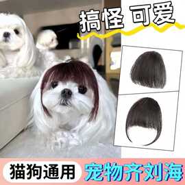 宠物狗狗猫咪搞笑卖萌假发刘海仿真发宠物头饰可爱狗狗小猫假刘海