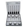 Spoon stainless steel, dessert gift box, set