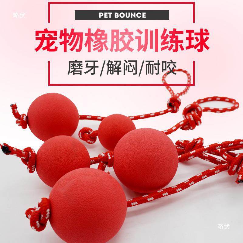 개 장난감 물림 방지 고무 단단한 탄성 공 골든 리트리버 개 중형 및 대형 개 훈련 어금니 애완 동물 용품 공