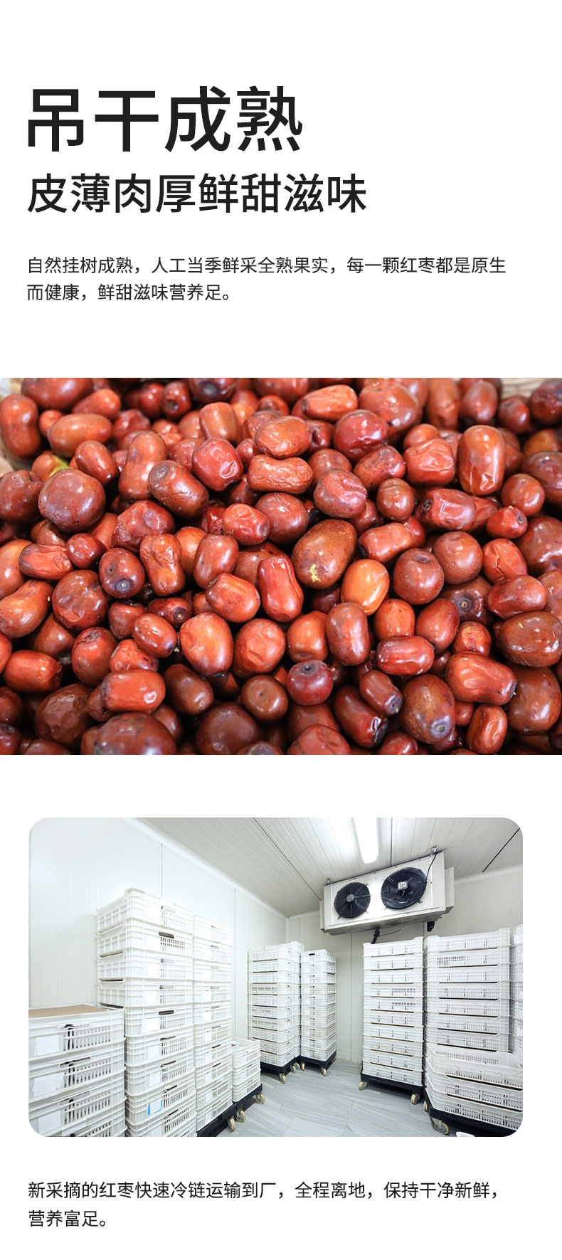 Dried Red Date Slices Hong Zao Pitted Jujube Chips for Tea and Snacking 200g Jar specifications