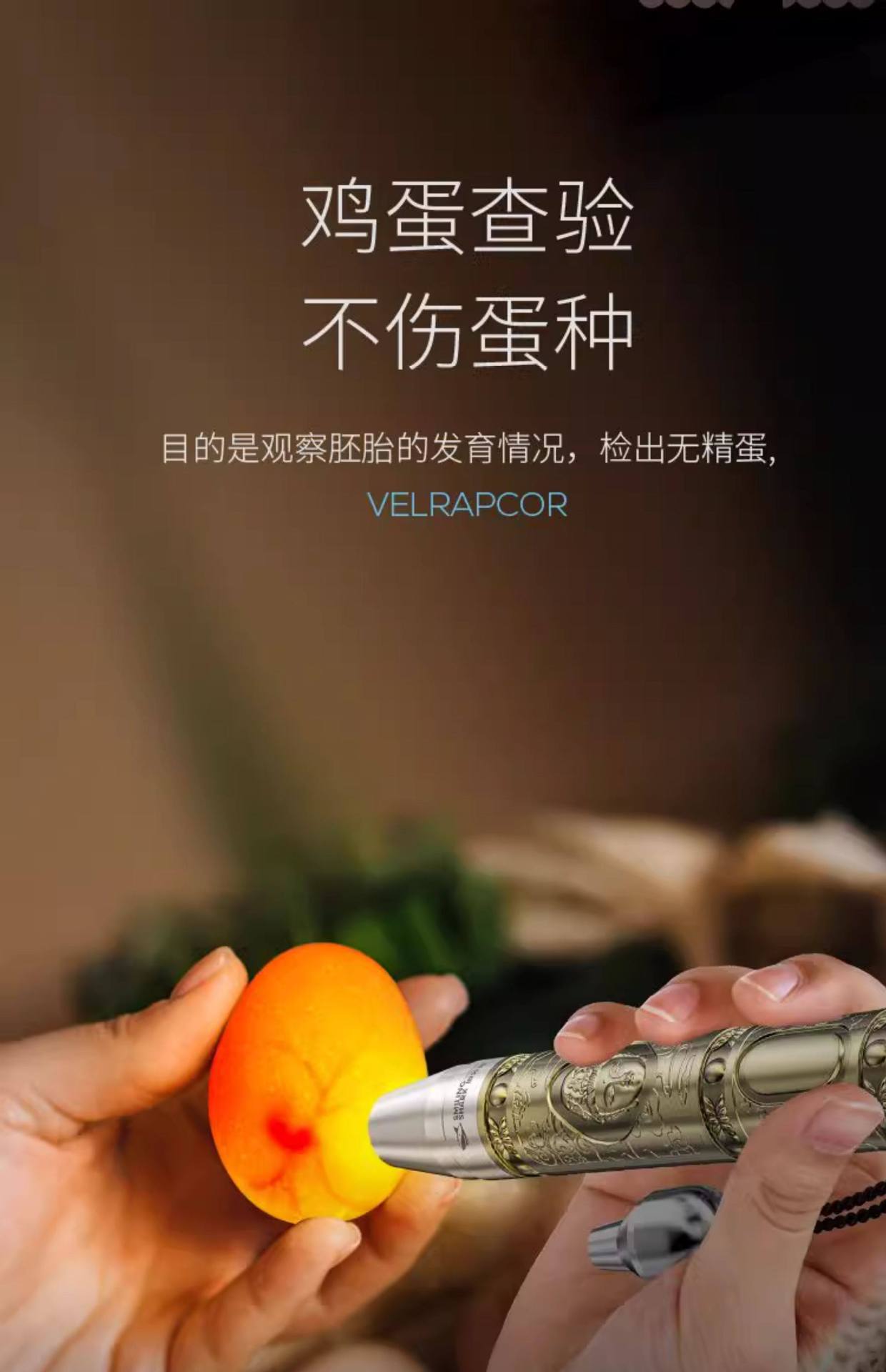 Flashlight for Jade Identification, Strong Light for Jewelry Identification, Jade Inspection, Money and Alcohol Verification, 65Nm Ultraviolet Light