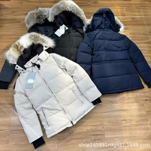 ���Z��q��04��chelsea�����߶�Ů�̿�����q�ɿ˼��ô�ͬ������