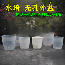 �A������͸���Ӻ�ˮ����������m���趨ֲ�@�o�׷NֲӲ����ˮ����