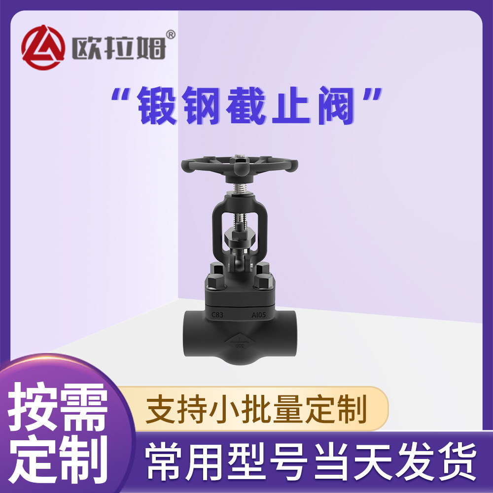 锻钢高压截止阀 压力800Lb 美标不锈钢 专为制丸装置颗粒压缩设计