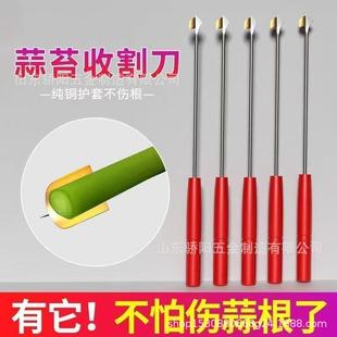 Garlic Scapes Knife, Garlic Table Scraper, Manual Tool for Quick Harvesting of Garlic Scapes, Garlic Pulling Tool, Garlic Table Artifact, Pulling Tool