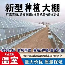 Nֲȫ״ǼBֳuBi߲˴ﻨﱣش