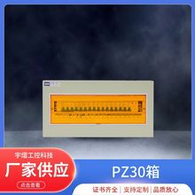 PZ30配電箱家用塑料蓋板回路箱明裝室內照明15回路空氣開關盒
