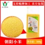 东北农家自产特产黄小米