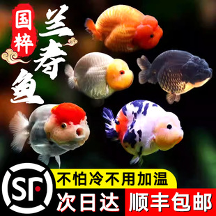 �m�۽��~С���~���^�p�~��ˮ���B����С��̩�{�ͻ��\����ˮ�~���~
