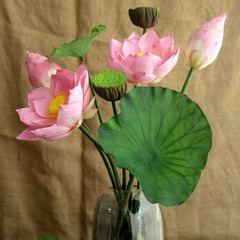 春夏に爆発したハスの花蓮の葉蓮蓬は花の高級な部屋を飾って室内の装飾の客間の舞台の道具を飾っています。